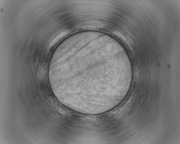 X0000088160874200706121559