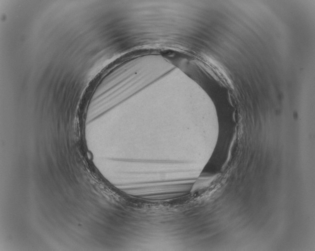 X0000088160876200706121559