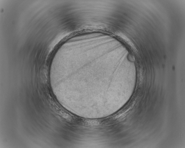 X0000088160878200706121559