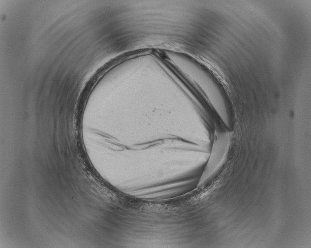 X0000088160880200706121558