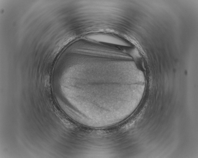 X0000088160881200706121558
