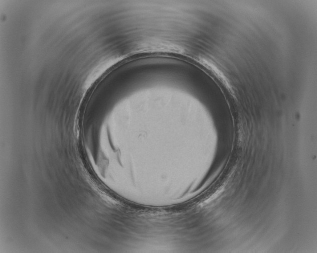 X0000088160885200706121558