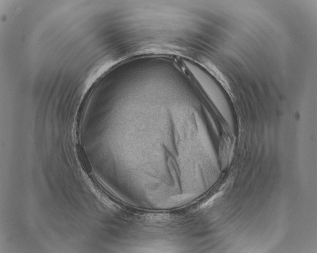 X0000088160893200706121558