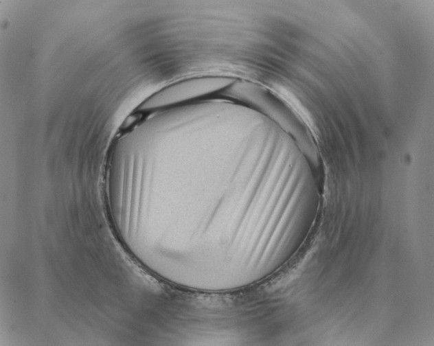 X0000088160901200706121558