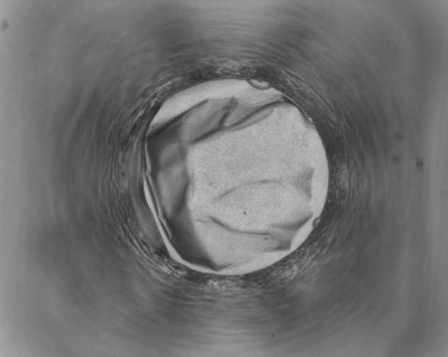 X0000088160914200706121557