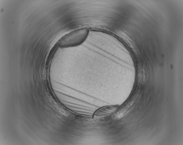 X0000088160924200706121557