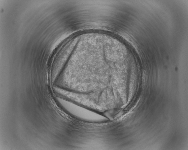 X0000088160925200706121557