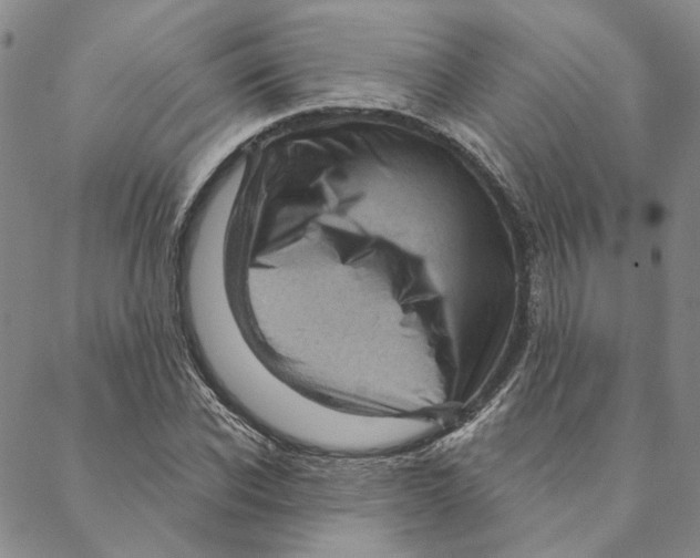 X0000088160926200706121557