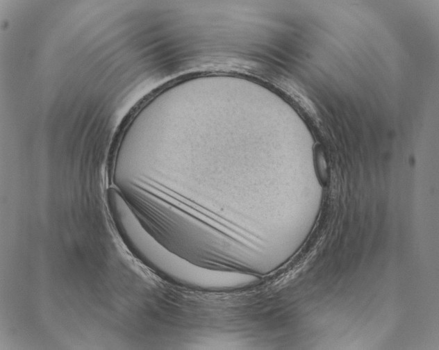 X0000088160936200706121558