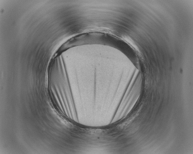 X0000088160940200706121558