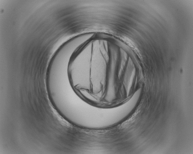 X0000088160942200706121558