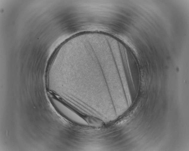 X0000088160943200706121558
