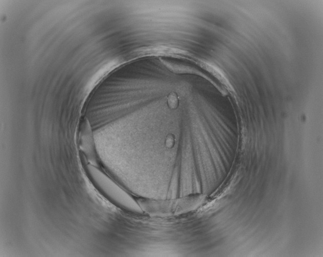 X0000088160946200706121558