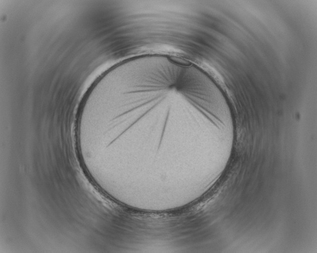 X0000088160947200706121558