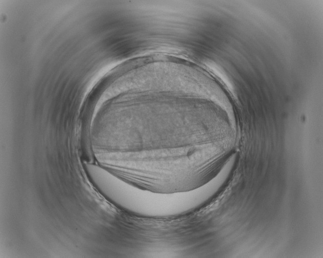 X0000088160948200706121558