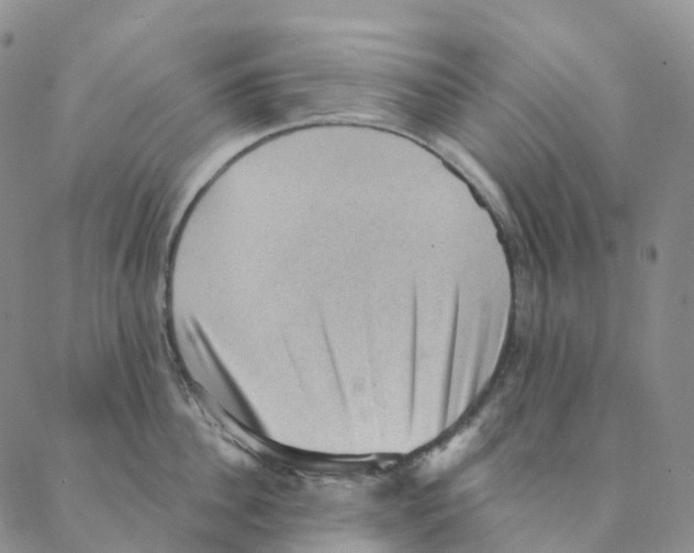 X0000088160956200706121558