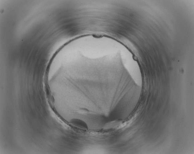X0000088160958200706121558