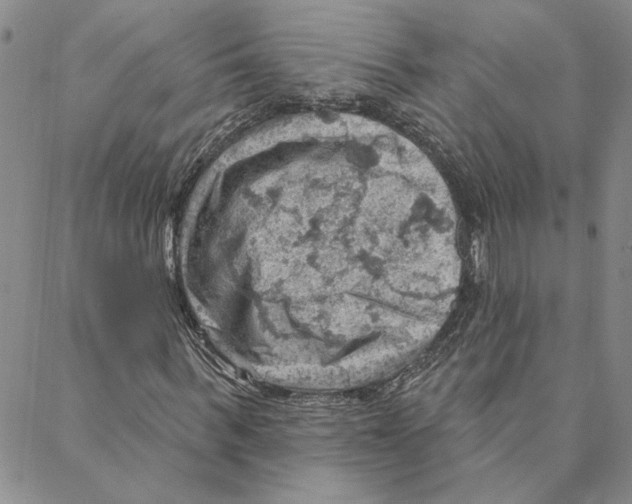 X0000088160963200706121557