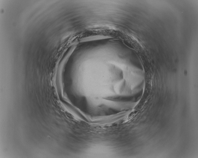 X0000088160965200706121557