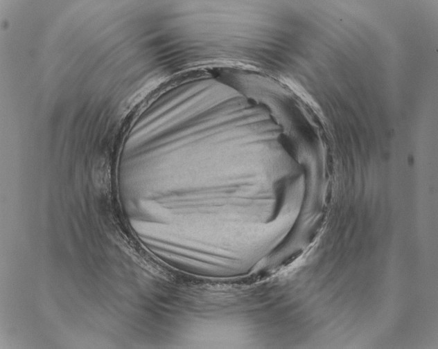 X0000088160969200706121557