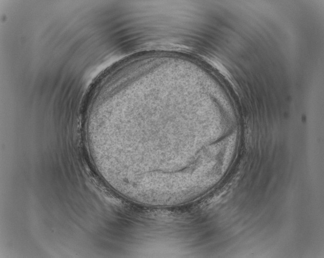 X0000088160971200706121557