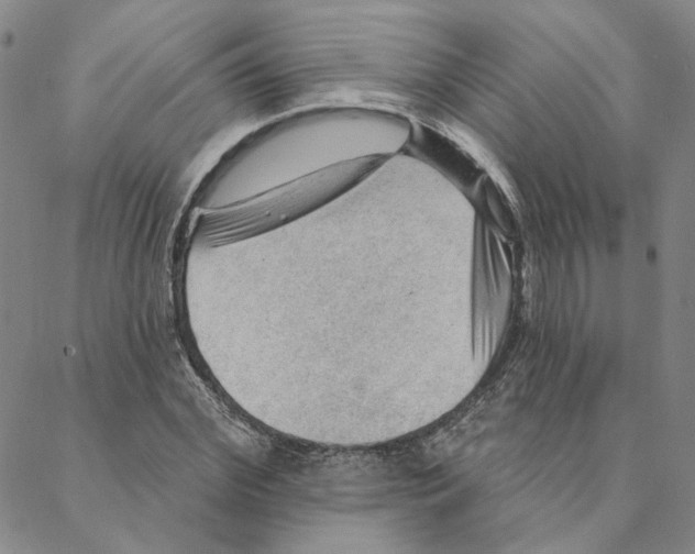 X0000088160972200706121557