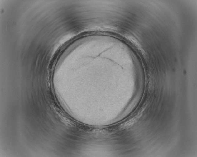 X0000088160974200706121557