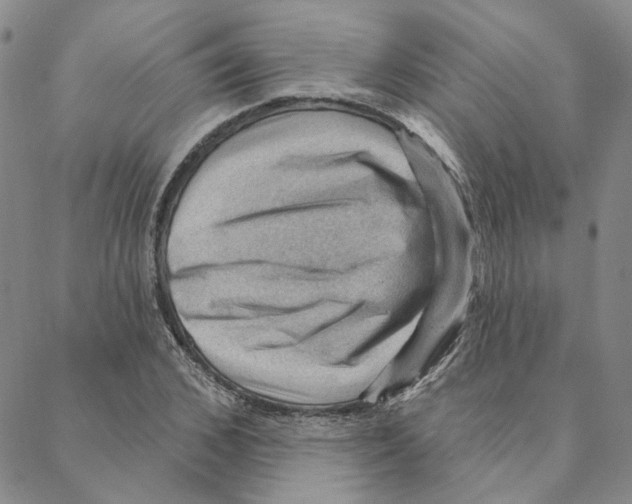 X0000088160976200706121557