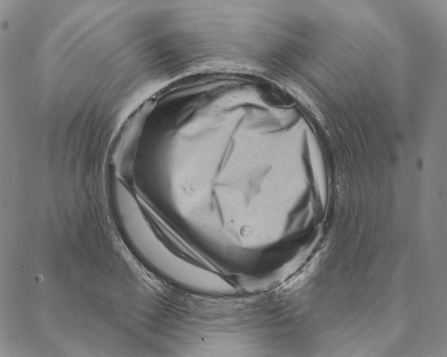 X0000088160981200706121557