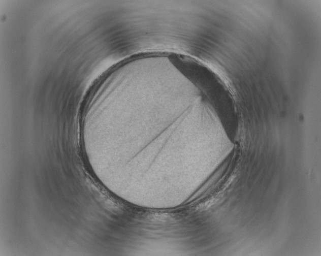 X0000088160982200706121557