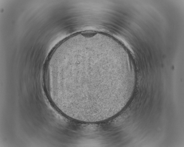 X0000088160991200706121557