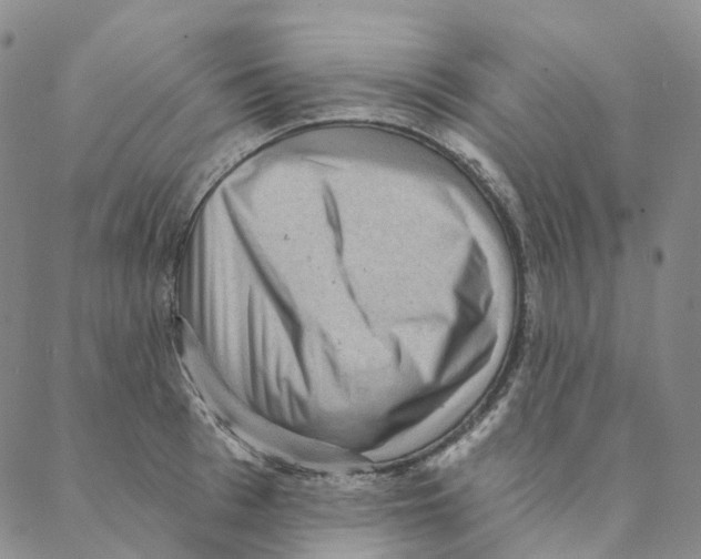 X0000088160993200706121557