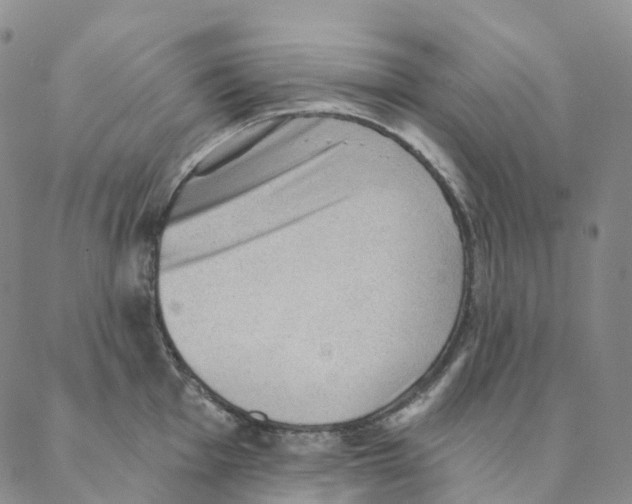 X0000088161001200706121557