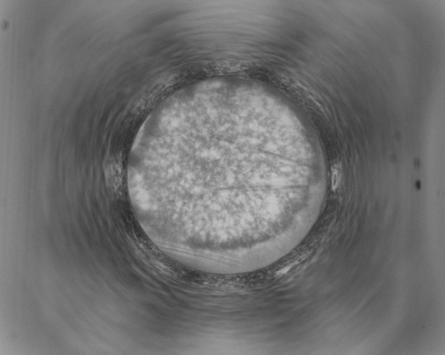 X0000088161011200706121556
