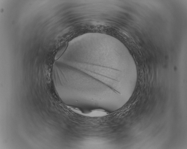 X0000088161013200706121556