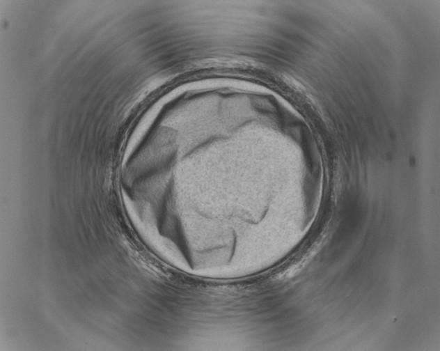 X0000088161017200706121556