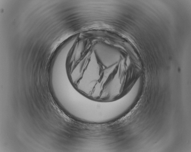 X0000088161018200706121556