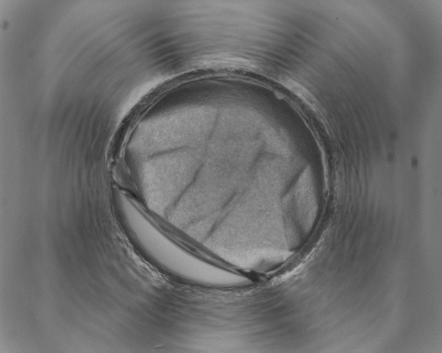 X0000088161022200706121556