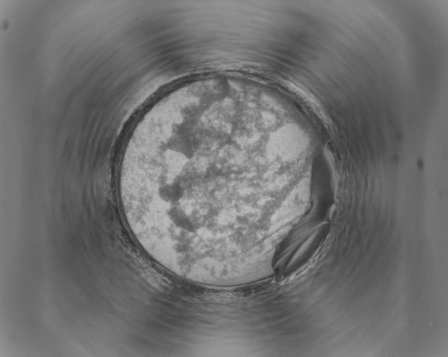 X0000088161023200706121556
