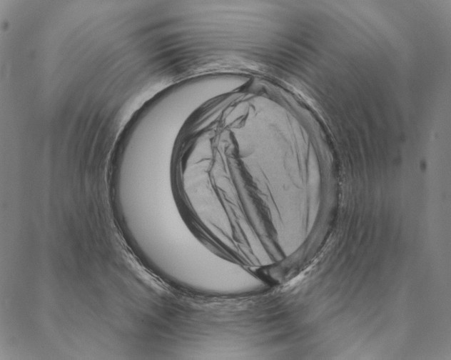 X0000088161026200706121556