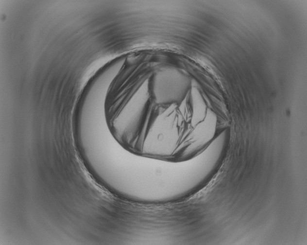 X0000088161030200706121556