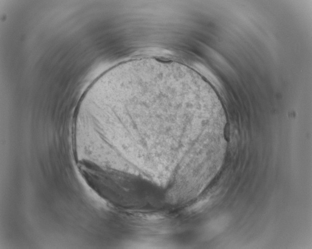 X0000088161055200706121556