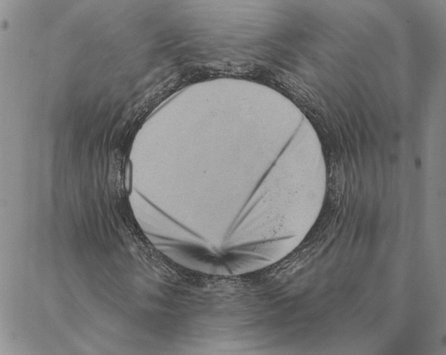 X0000088161058200706121556