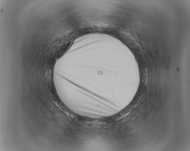 X0000088161061200706121556
