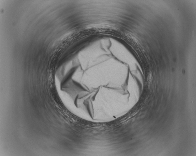 X0000088161062200706121556