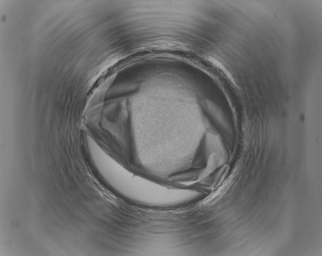 X0000088161065200706121555