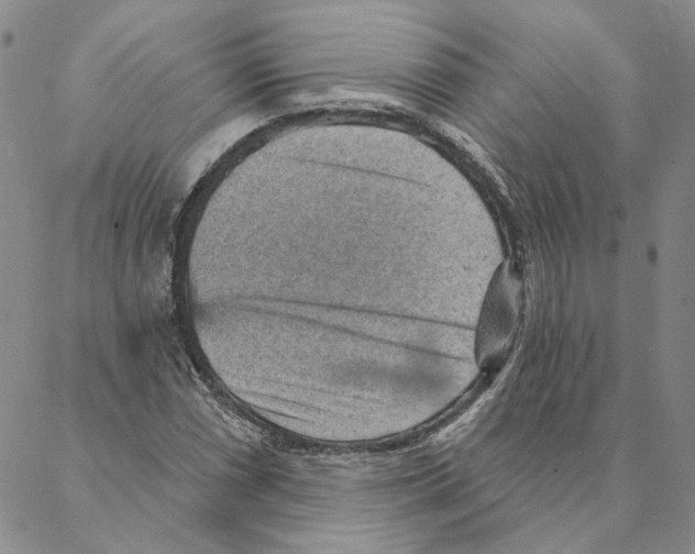 X0000088161066200706121555