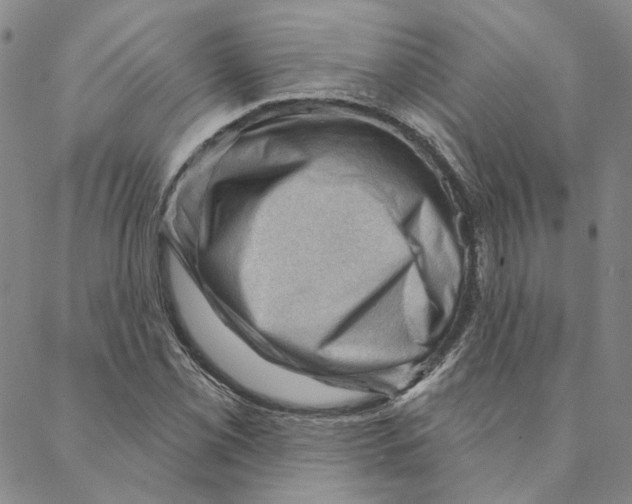 X0000088161069200706121555