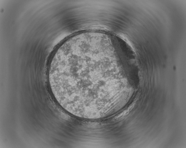 X0000088161071200706121555