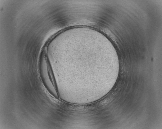 X0000088161072200706121555